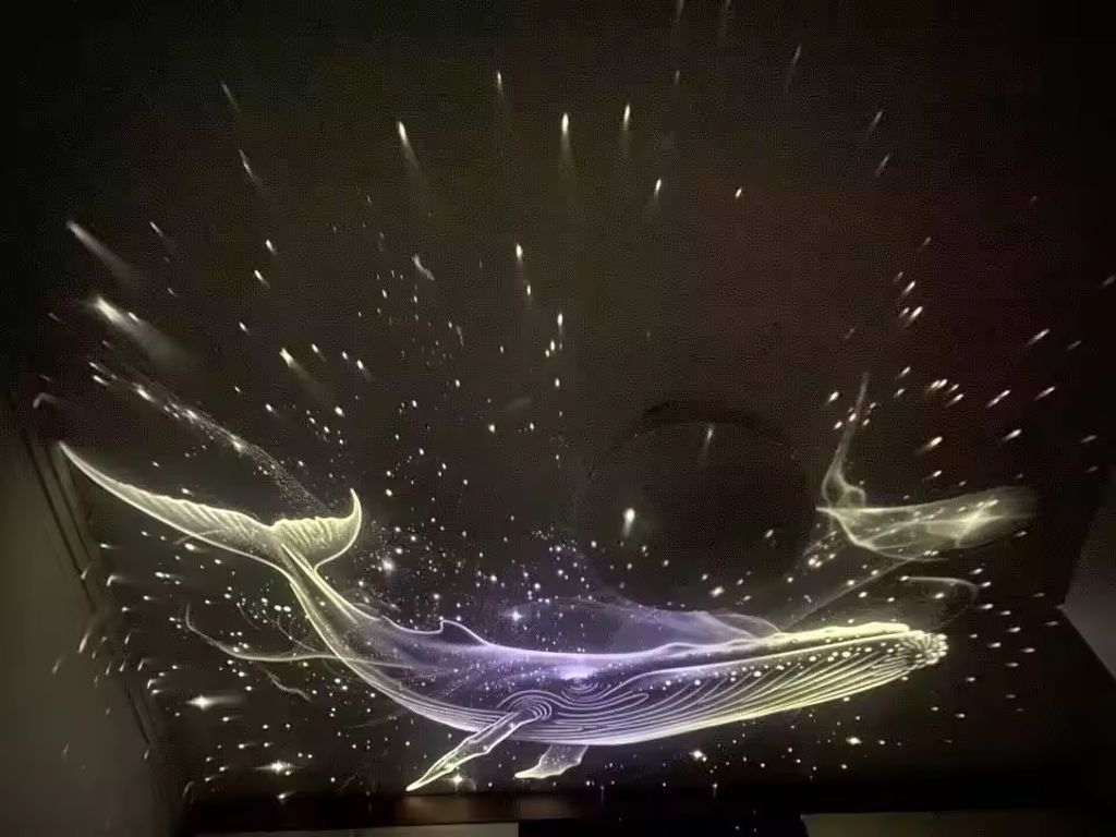 HD Smart Dynamic 5D Holographic Night Light Projector